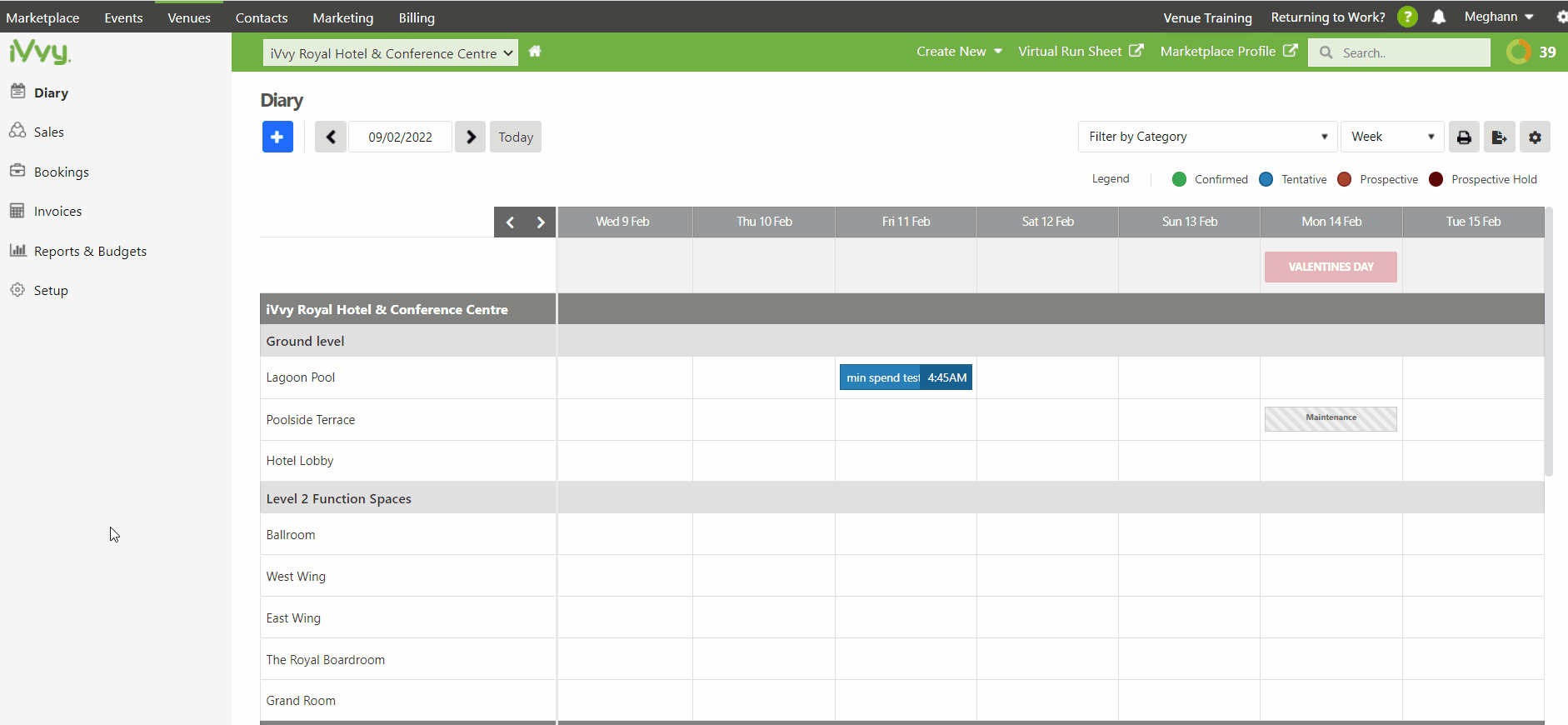 Paying an invoice using default credit card fees in iVvy
